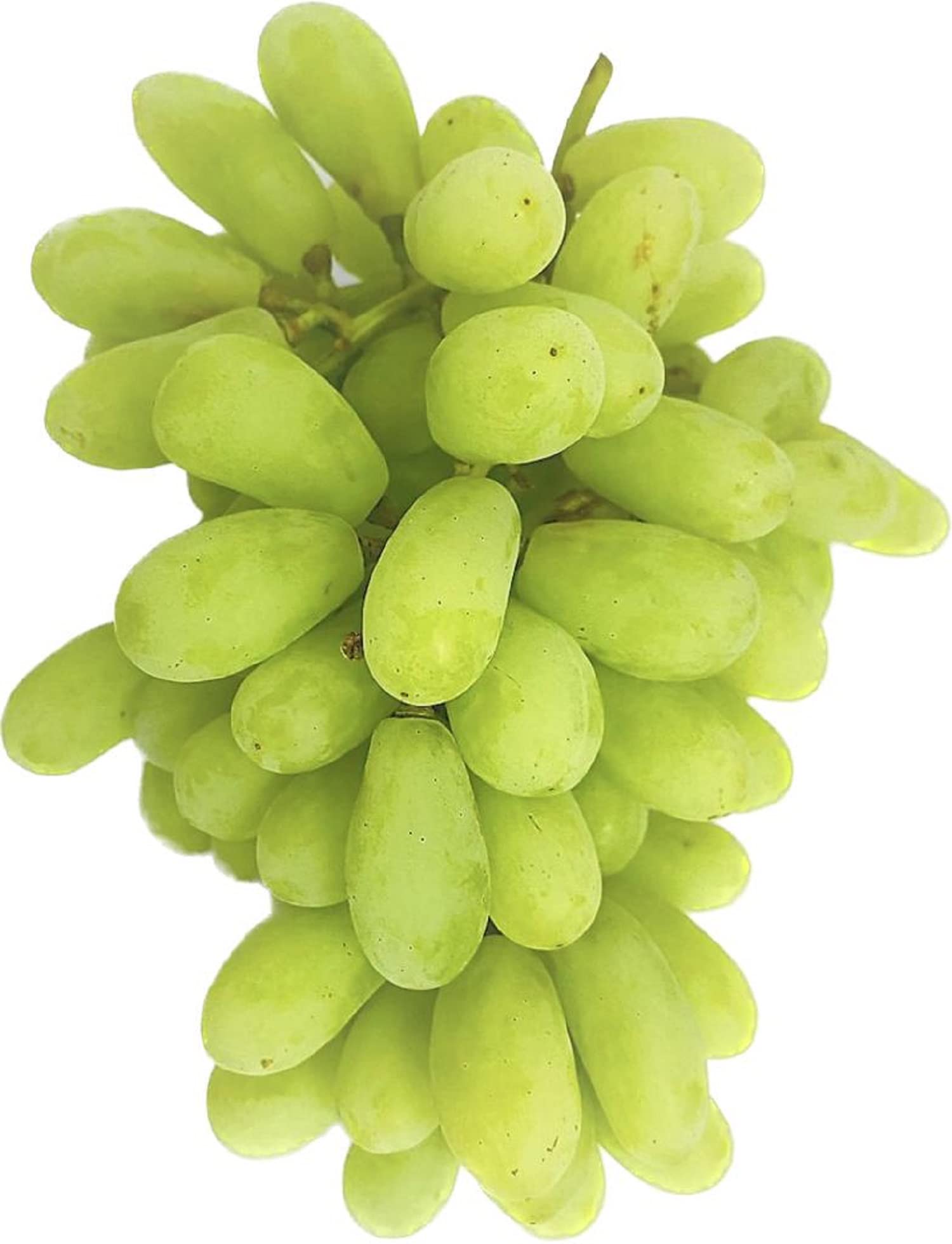 grapes.jpg